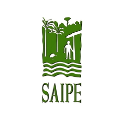 Logo SAIPE VE5 vf